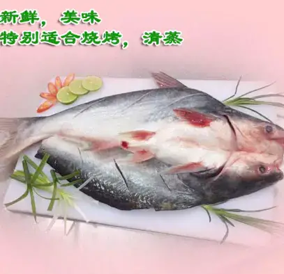 小餐连开背巴沙鱼怎么买? 小餐连开背巴沙鱼怎么买?