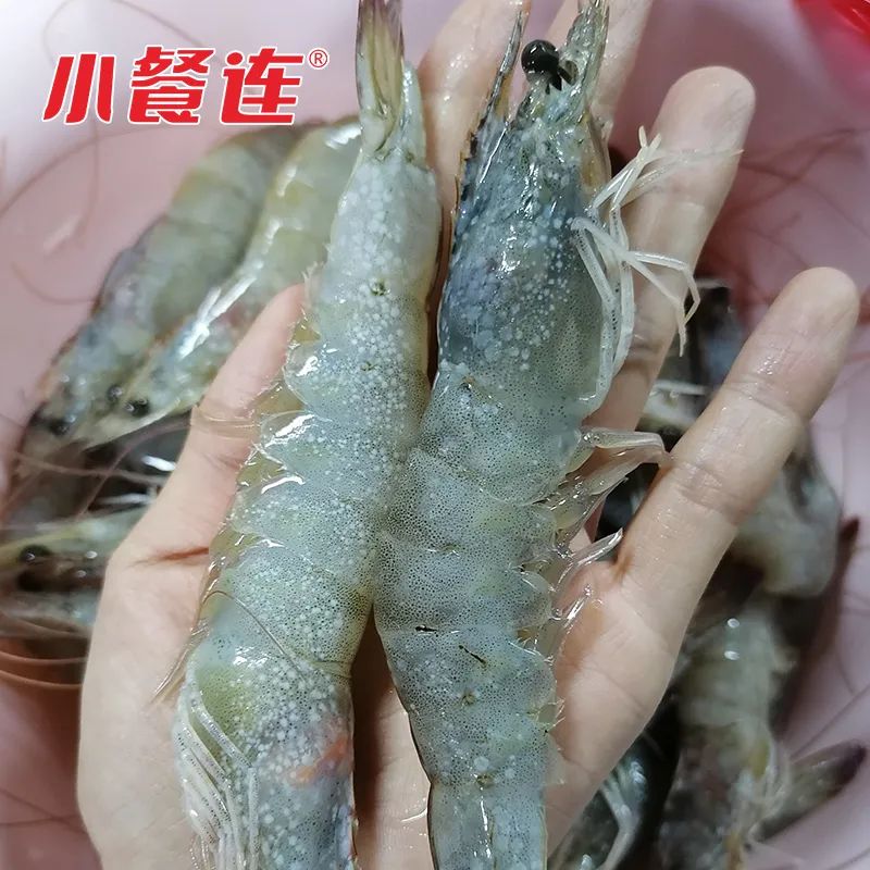 小餐连大虾怎么买？